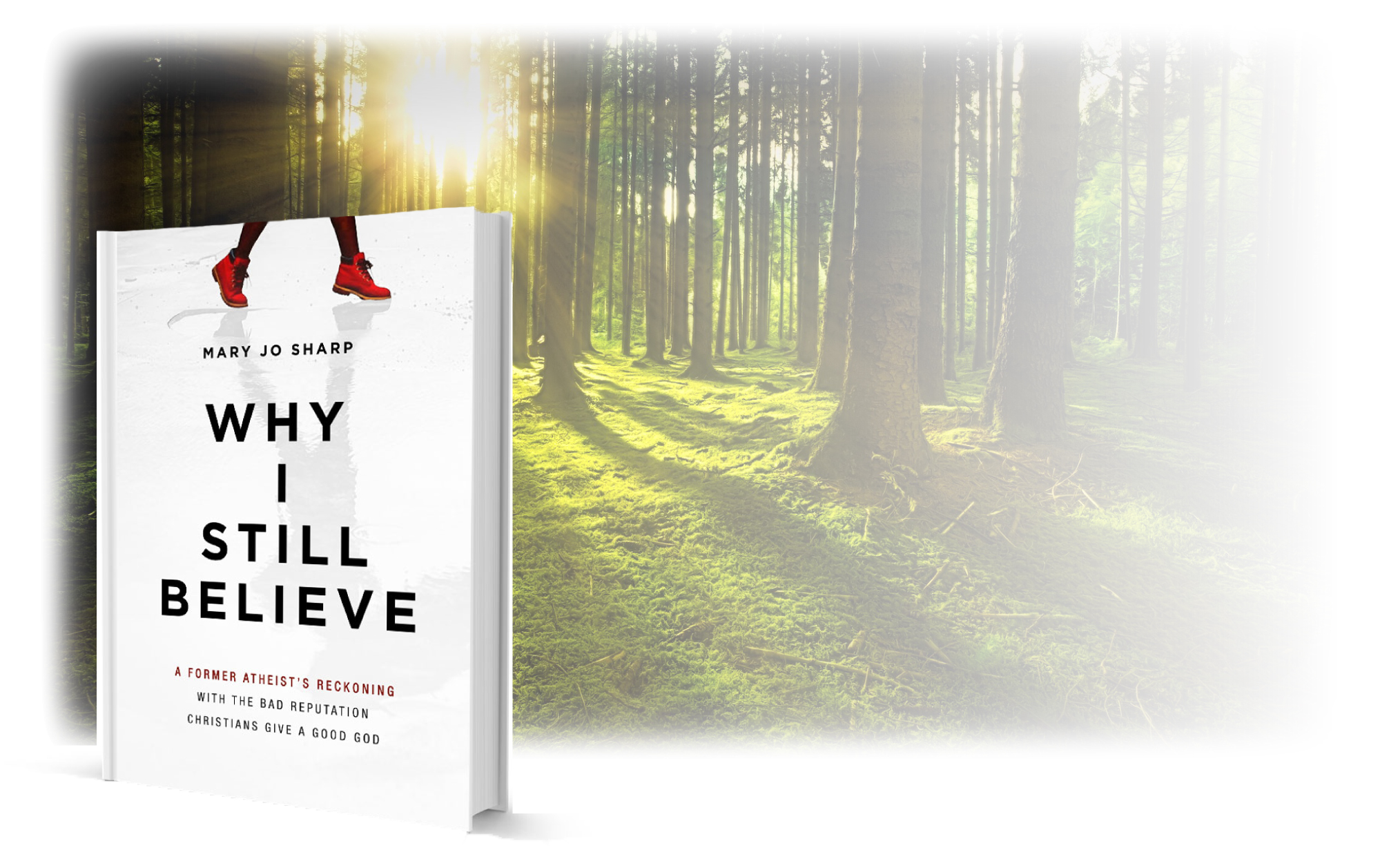 Why-i-Still-Believe-Book-Cover-LP-Image1